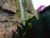 DSC09153 Kopie.JPG