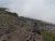 DSC09557.JPG