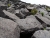 DSC09579.JPG