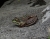 DSC09671 Kopie.JPG