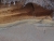 DSC09766.JPG