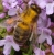 DSC09690 Kopie 2.JPG