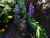 DSC09913.JPG