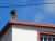 DSC00047.JPG