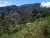 DSC00211.JPG