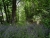 DSC00272.JPG