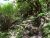 DSC01122.JPG