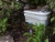 DSC01142.JPG