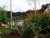 DSC01885.JPG