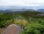 DSC02315.JPG