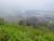DSC02311.JPG