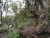 DSC02378.JPG