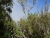 DSC02379.JPG