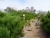 DSC02385.JPG