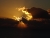 DSC02283.JPG