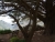 DSC02469.JPG