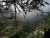 DSC02475.JPG