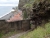 DSC02501.JPG