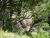 DSC02527.JPG