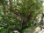 DSC02532.JPG