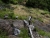 DSC02557.JPG