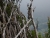 DSC02681.JPG