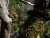 DSC02859.JPG