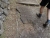 DSC02936.JPG
