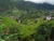 DSC02944.JPG