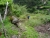 DSC02970.JPG