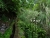 DSC02988.JPG