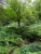 DSC02989.JPG