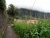 DSC03058.JPG