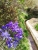 IMG-20190425-WA0109.jpg