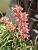 IMG-20190425-WA0140.jpg