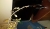 IMG-20190723-WA0020.jpeg
