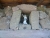k-P1190177.JPG