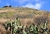 DSC_0069.JPG