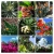 20191209_213526-COLLAGE.jpg
