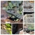 DSC_0680-COLLAGE.jpg