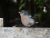 DSC05885.JPG