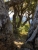 A9C505FA-BBD5-4A2B-94F7-46BF3FFDE74D.jpeg
