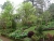 P1100339.JPG