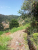 IMG-20210817-WA0025.jpg