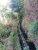IMG-20210817-WA0044.jpg
