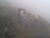 DSCK0067.JPG