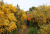 Madeira_Kalender_Pico-Ruivo-do-Paul.jpg
