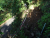 DSC04198 Kopie.JPG