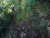 DSC04197 Kopie.JPG