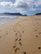 20231208_131548.jpg